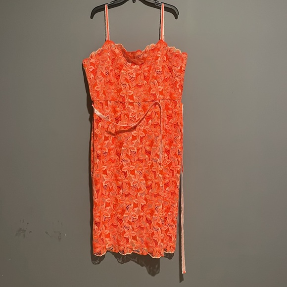 Alex Marie
Crystal Embroidered Lace Sleeveless Dress - Picture 8 of 10